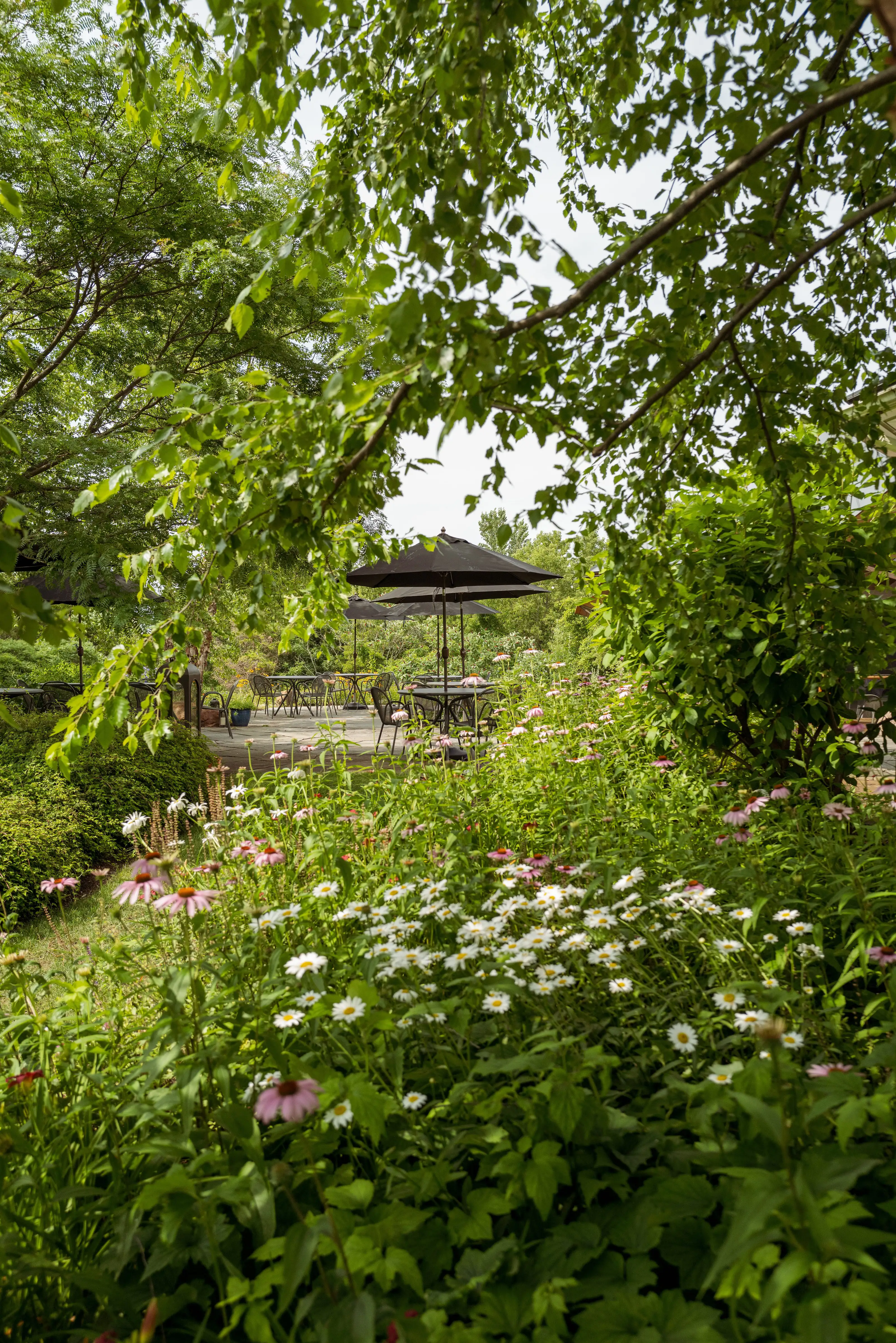 Gardens