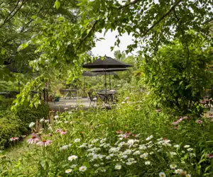 Gardens