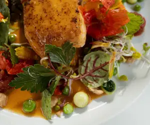 Halibut