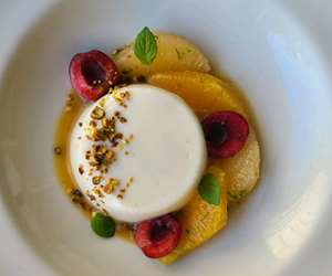 Panna Cotta 